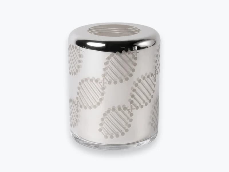 Elaura Silver view 1