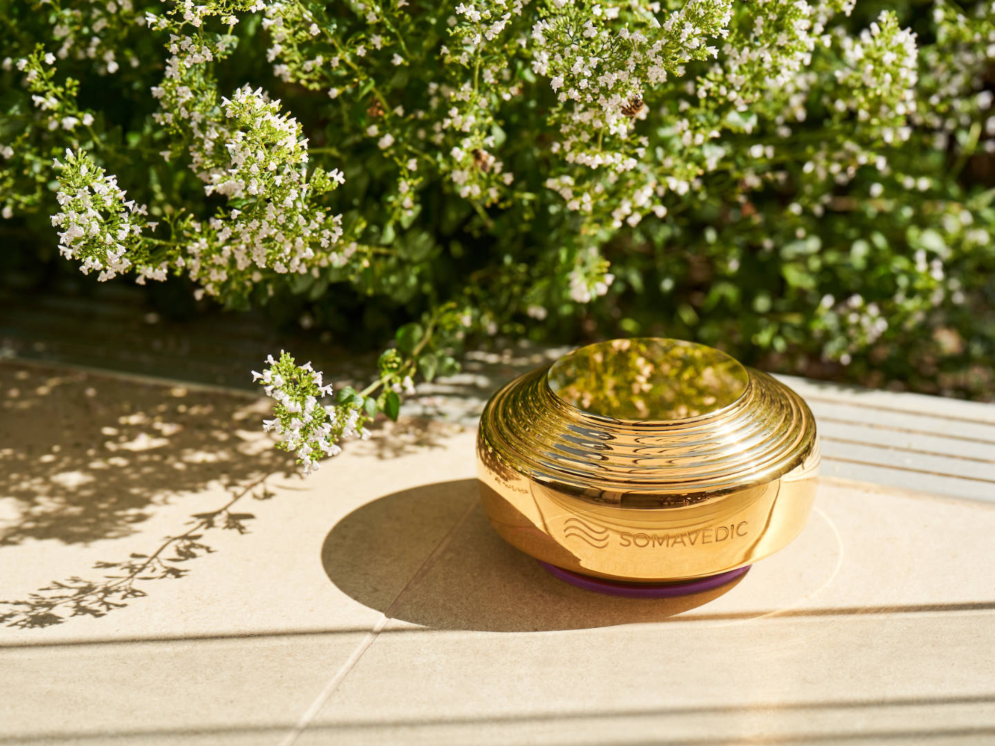 Oxidační stres a Somavedic: co může ukázat buněčná studie